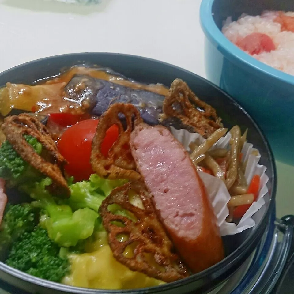 Snapdishの料理写真:麻婆茄子と明太子ご飯弁当|かおりん✴︎❤︎さん