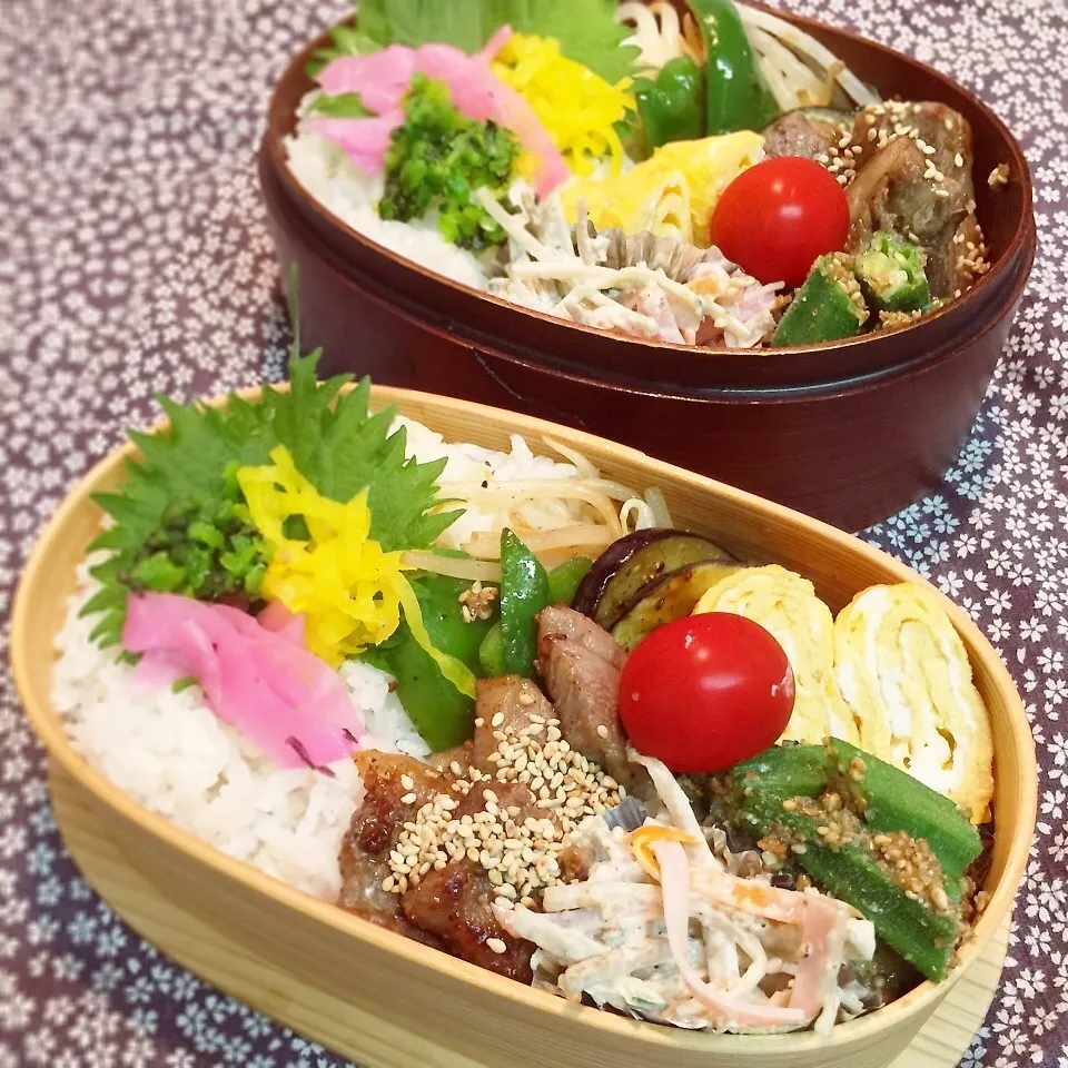 Snapdishの料理写真:中高生弁当0731|らんまるさん