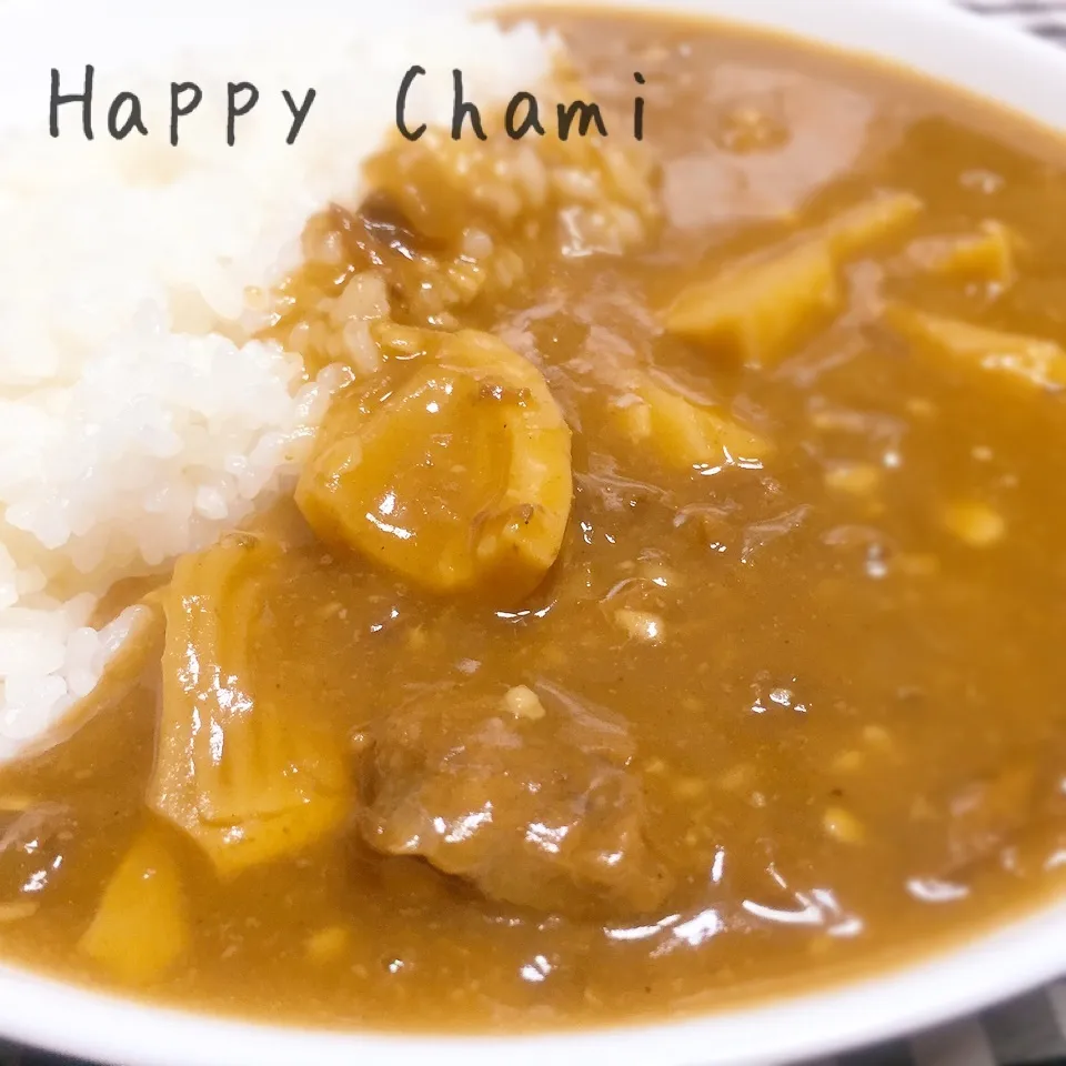 タケノコと牛肉の和風カレー|chamiさん