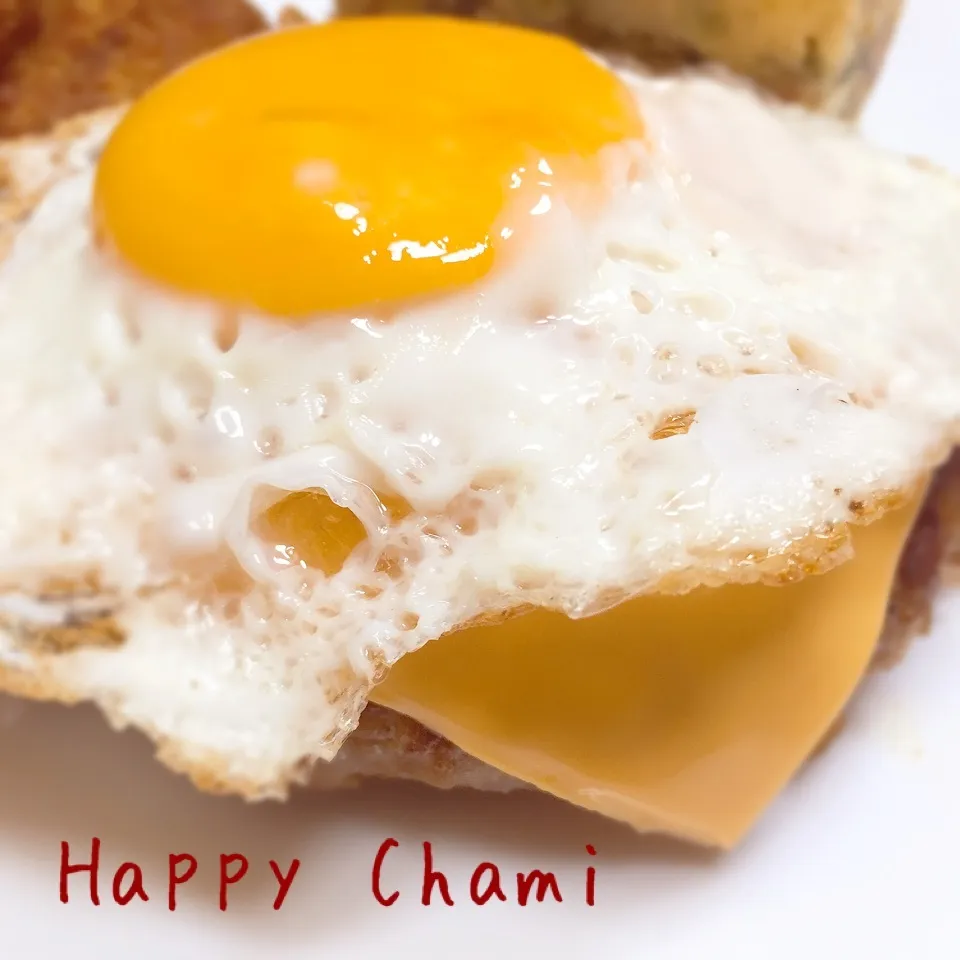 チーズ&目玉焼きのせハンバーグ|chamiさん