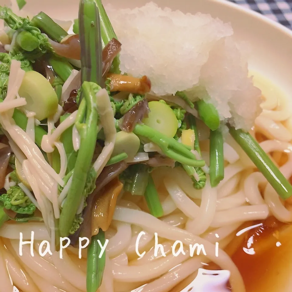 おろし山菜うどん|chamiさん