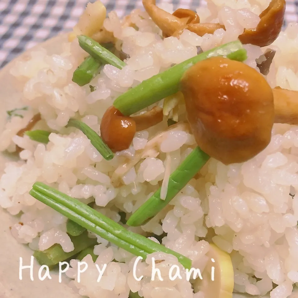 山菜の炊き込み御飯|chamiさん