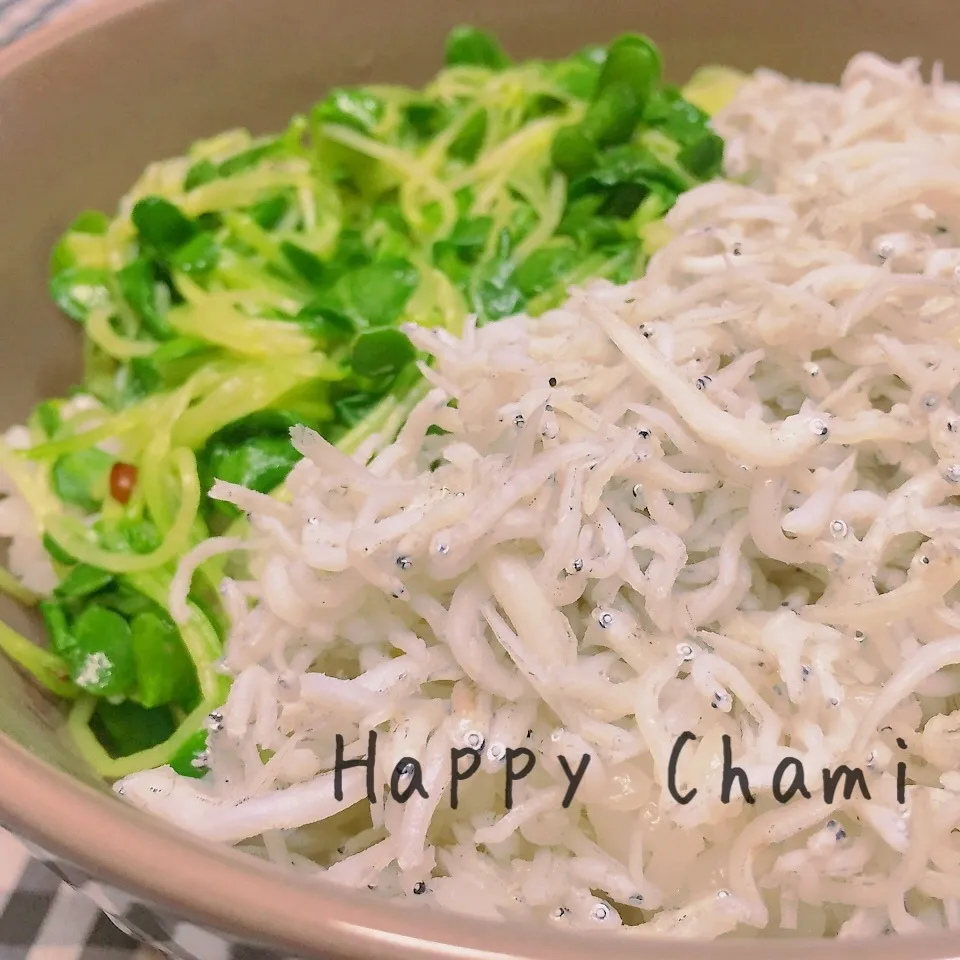 シラスとスプラウトの昆布締め丼|chamiさん