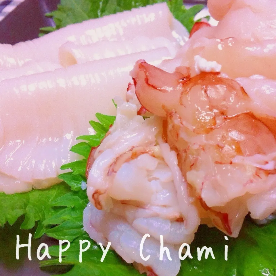 海老と烏賊のお刺身|chamiさん