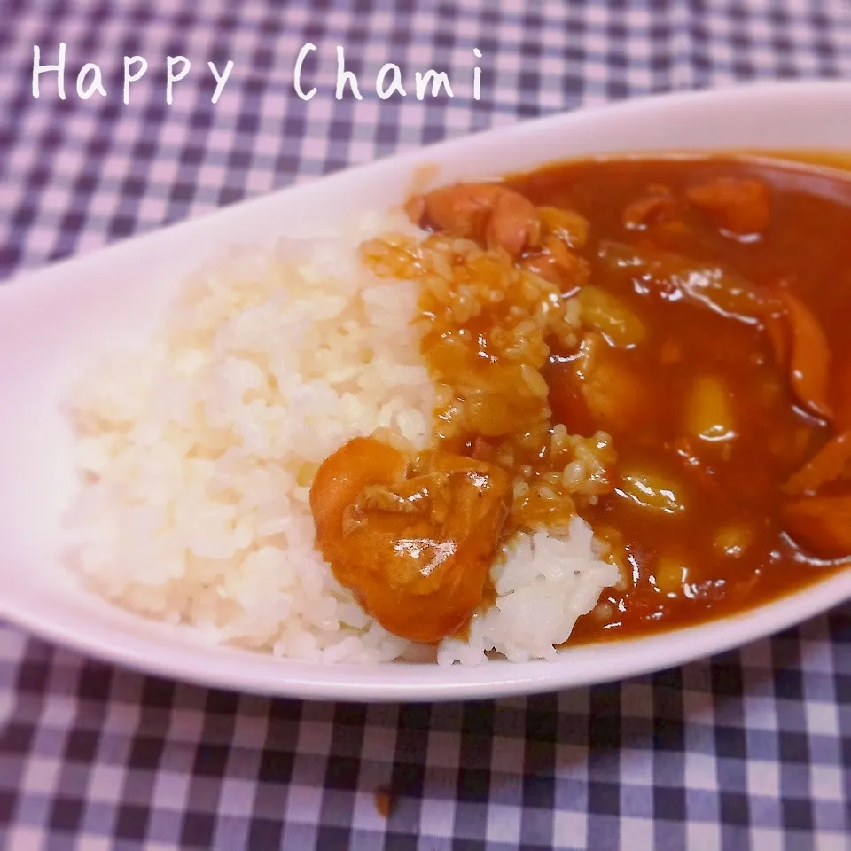 ポトフをリメイク♬カレー♫|chamiさん