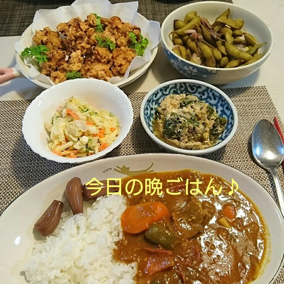 今日の晩ごはん(トマトビーフカレーと…)|oomugiさん