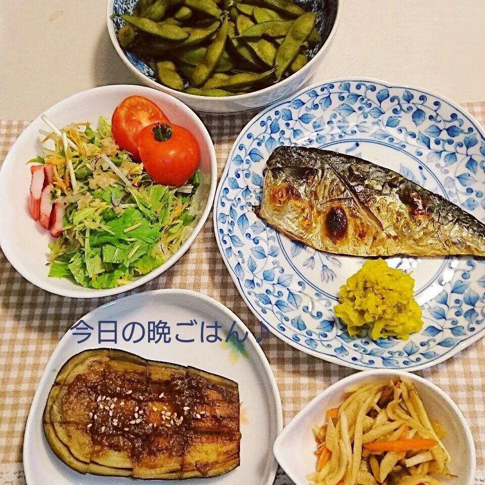 Snapdishの料理写真:今日の晩ごはん(塩鯖と…)|oomugiさん