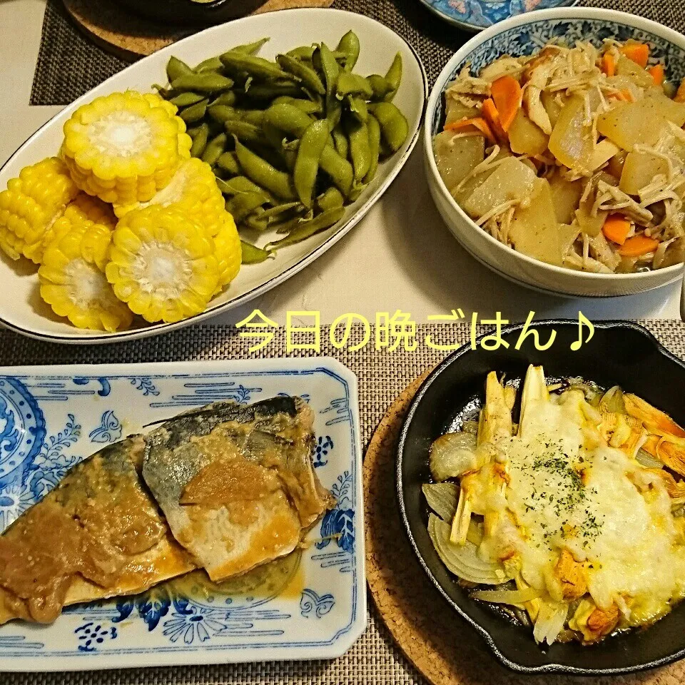 今日の晩ごはん(さばの味噌煮と…)|oomugiさん