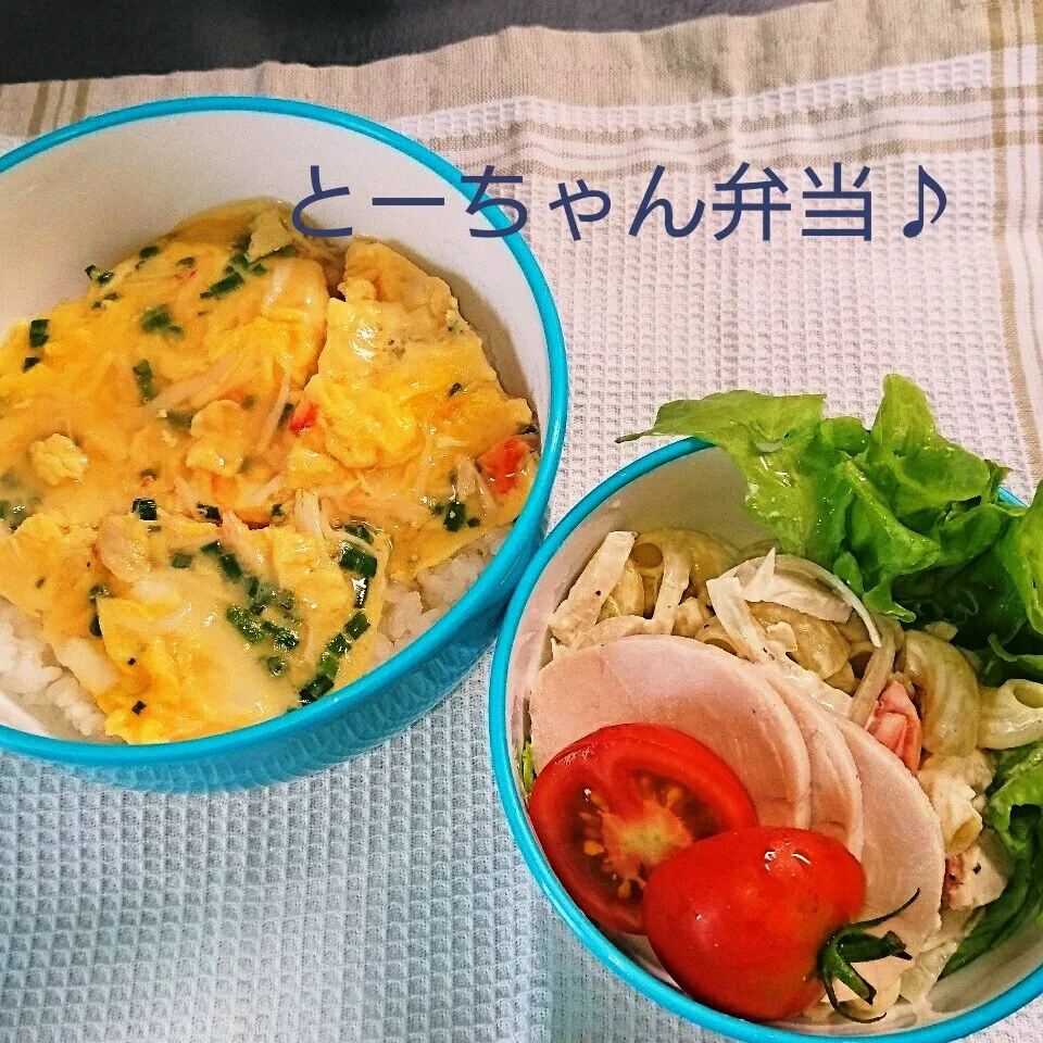 Snapdishの料理写真:水曜日のとーちゃん弁当♪|oomugiさん