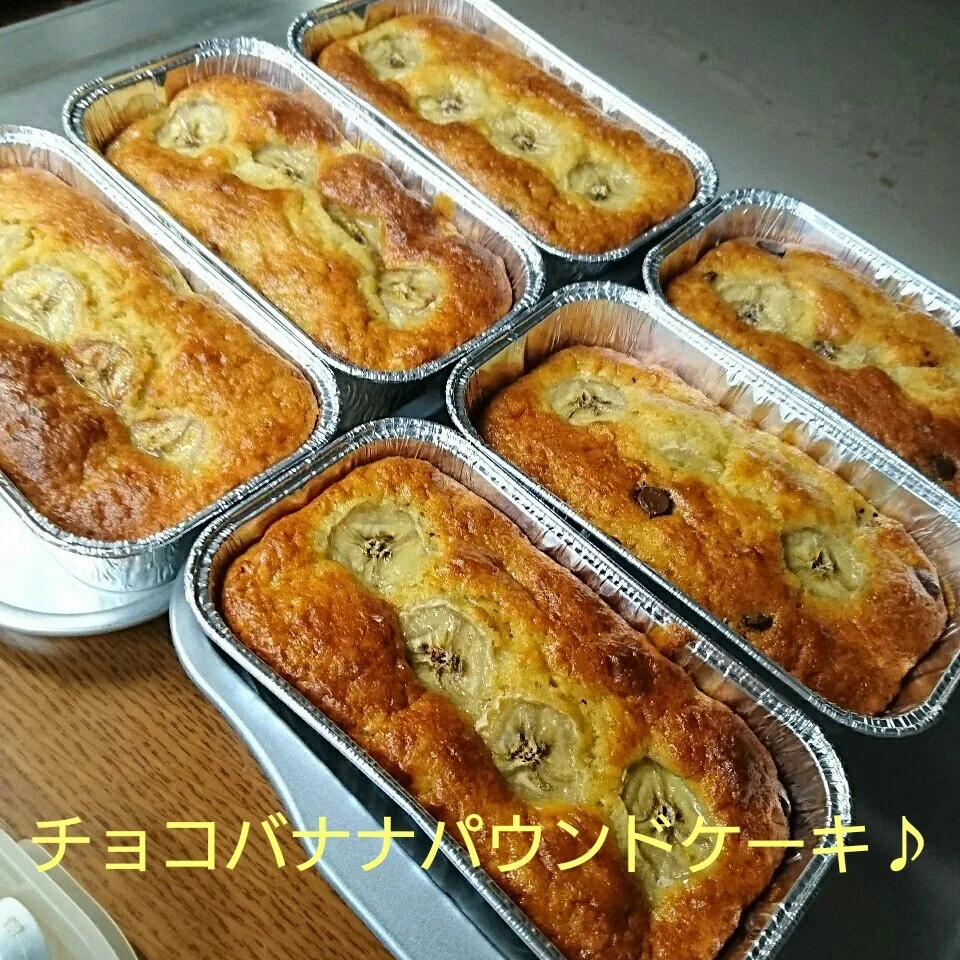 Snapdishの料理写真:チョコバナナパウンドケーキ♪き|oomugiさん