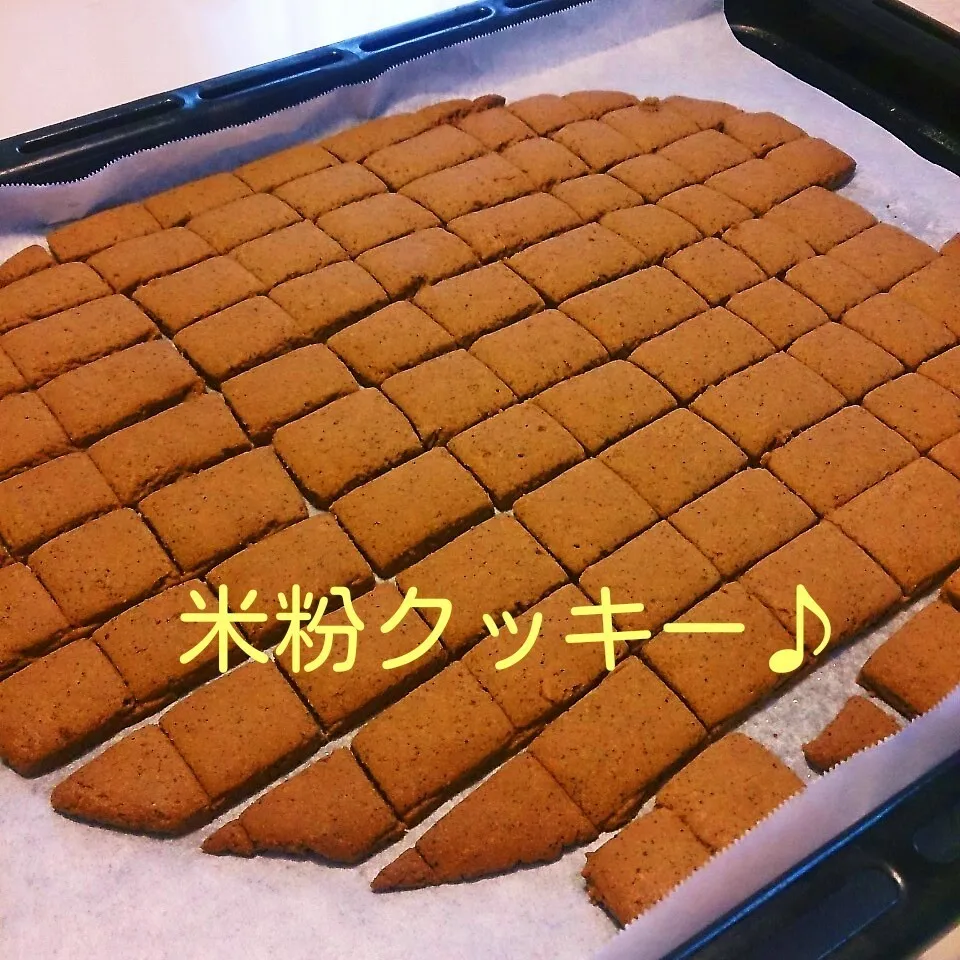 Snapdishの料理写真:米粉クッキー♪|oomugiさん