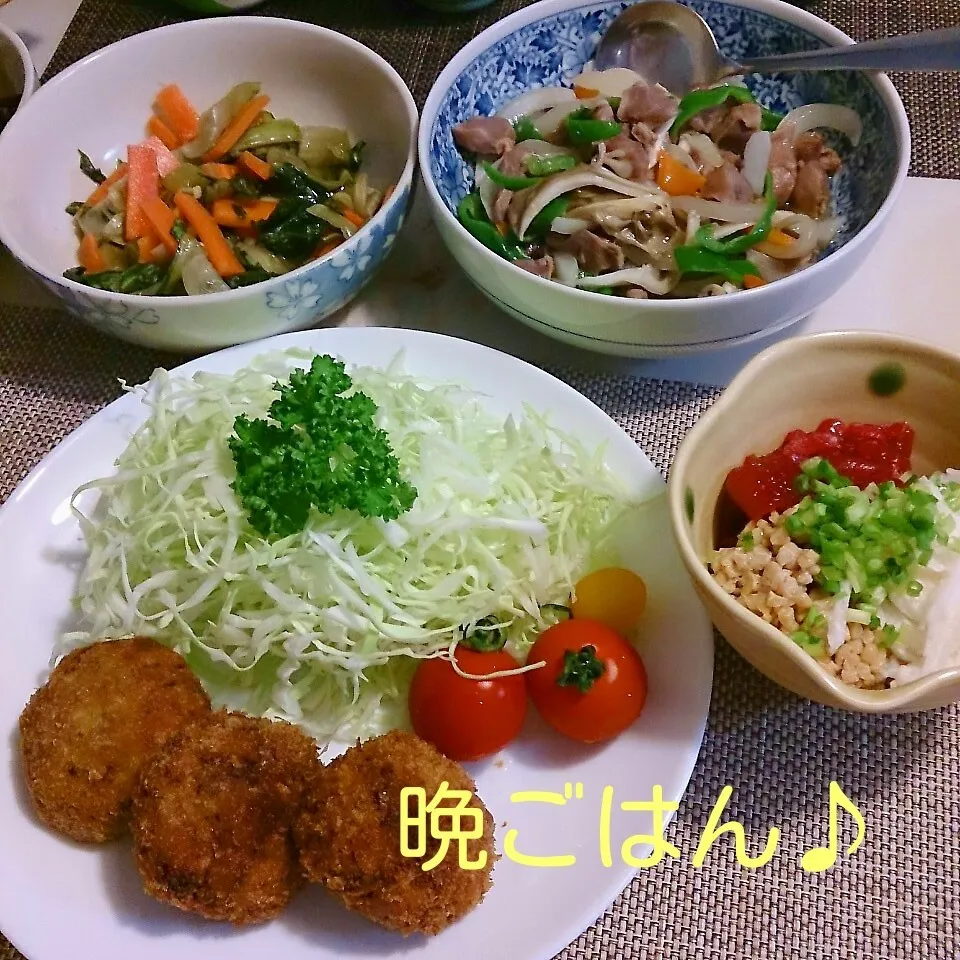 今日の晩ごはん(キャベツメンチと…)|oomugiさん