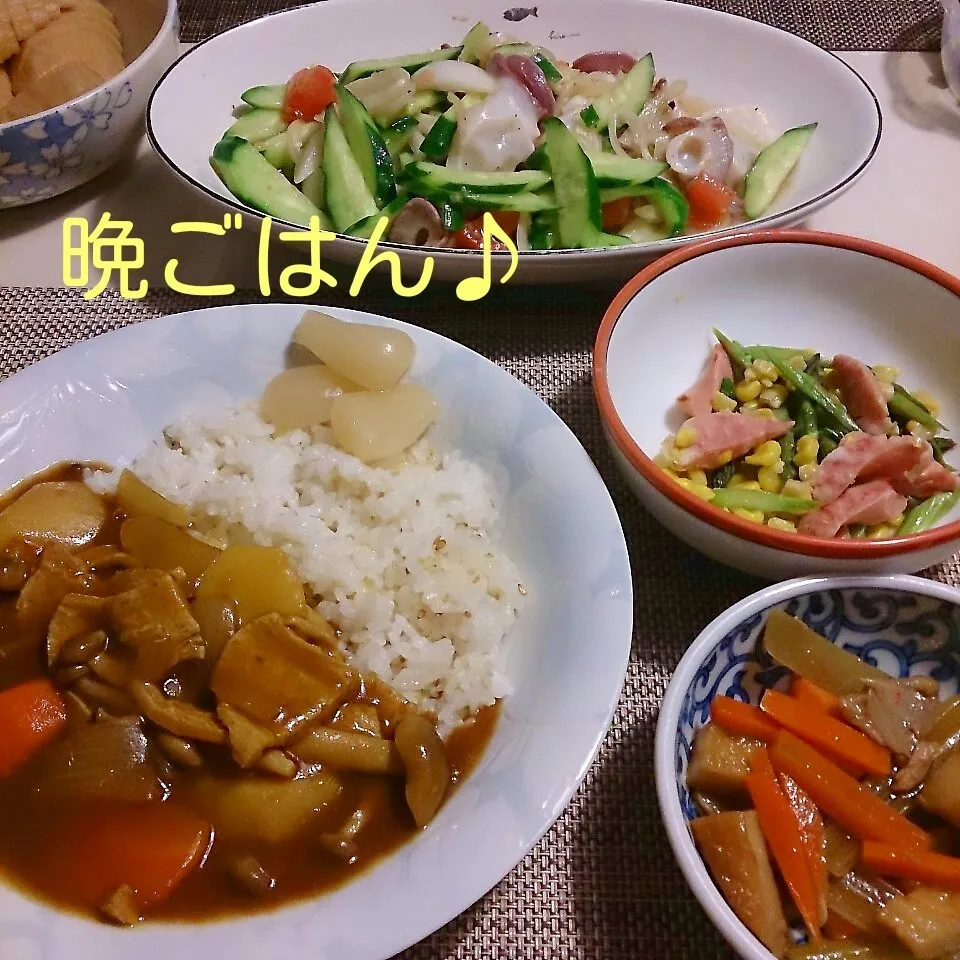 Snapdishの料理写真:今日の晩ごはん(カレーと…)|oomugiさん