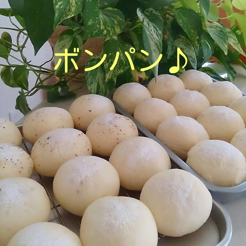 Snapdishの料理写真:ボンパン♪|oomugiさん