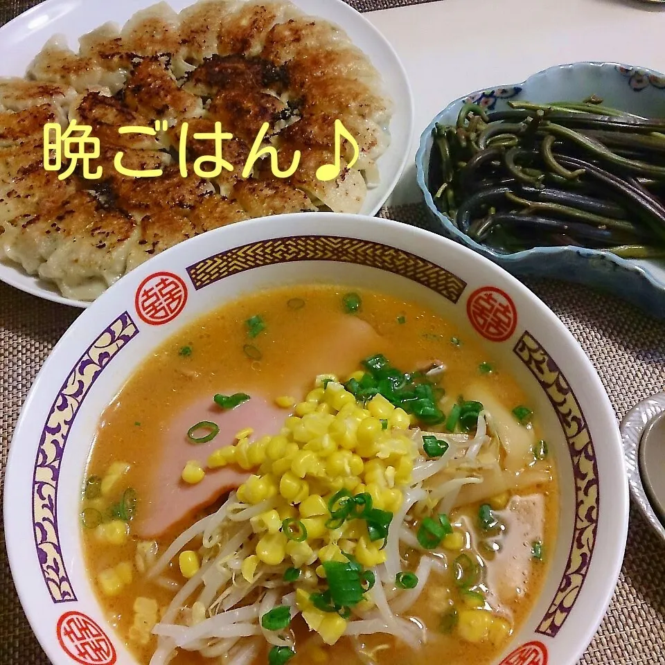 今日の晩ごはん(味噌ラーメンと餃子)|oomugiさん