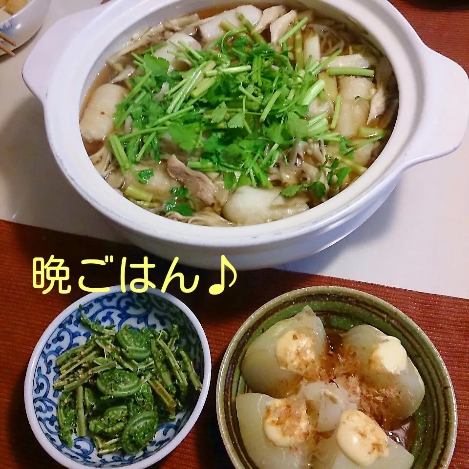 Snapdishの料理写真:今日の晩ごはん(キリタンポ鍋と…)|oomugiさん