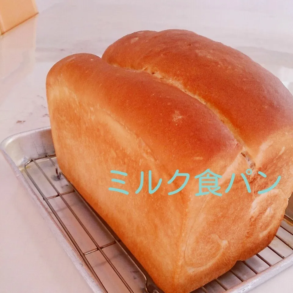 Snapdishの料理写真:ミルク食パンできたよ♪|oomugiさん