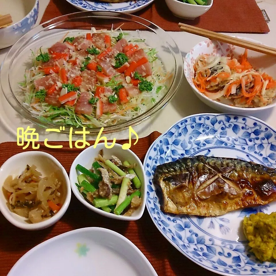 Snapdishの料理写真:昨日の晩ごはん(塩サバと…)|oomugiさん