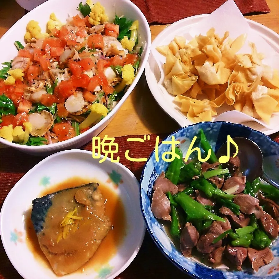 昨日の晩ごはん(鯖の味噌煮と…)|oomugiさん