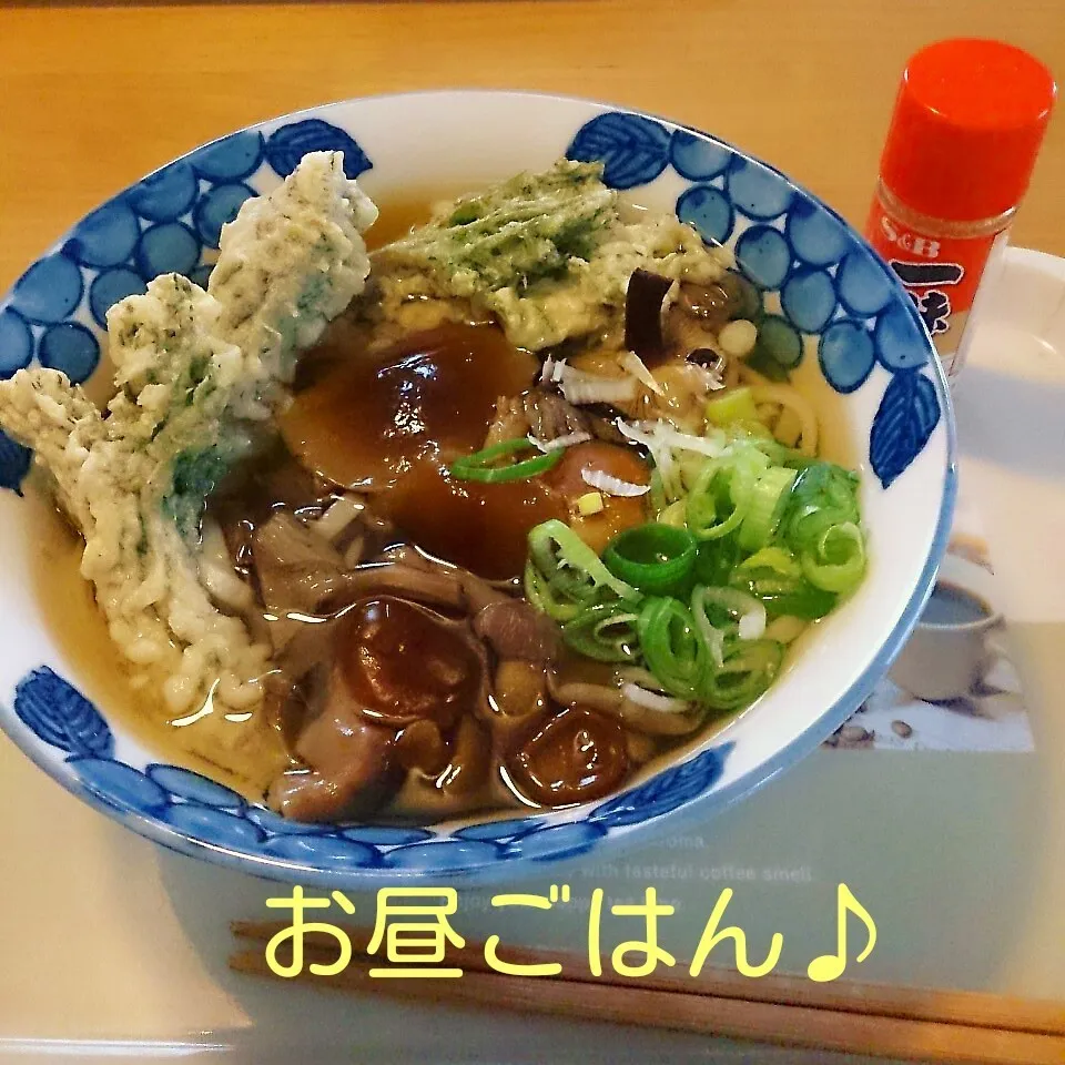 春と秋のコラボうどん♪|oomugiさん