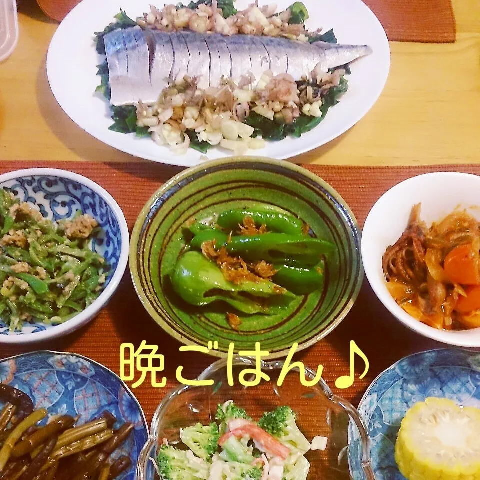 Snapdishの料理写真:今日の晩ごはん(シメサバと…)|oomugiさん