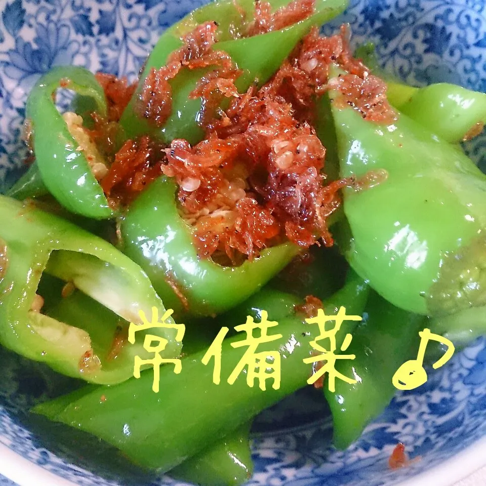 Snapdishの料理写真:常備菜(万願寺唐辛子の甘辛いため)|oomugiさん