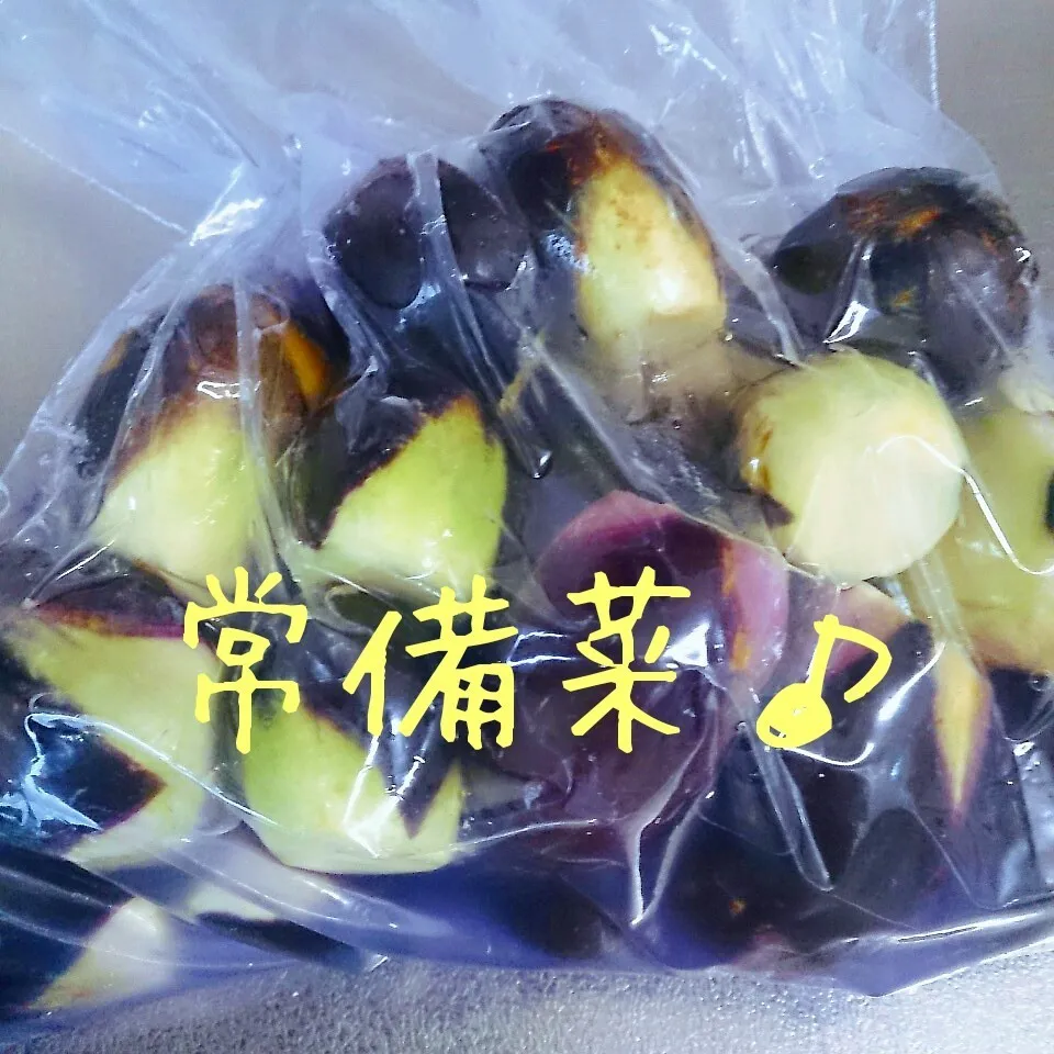 Snapdishの料理写真:常備菜(水ナスの漬物)|oomugiさん