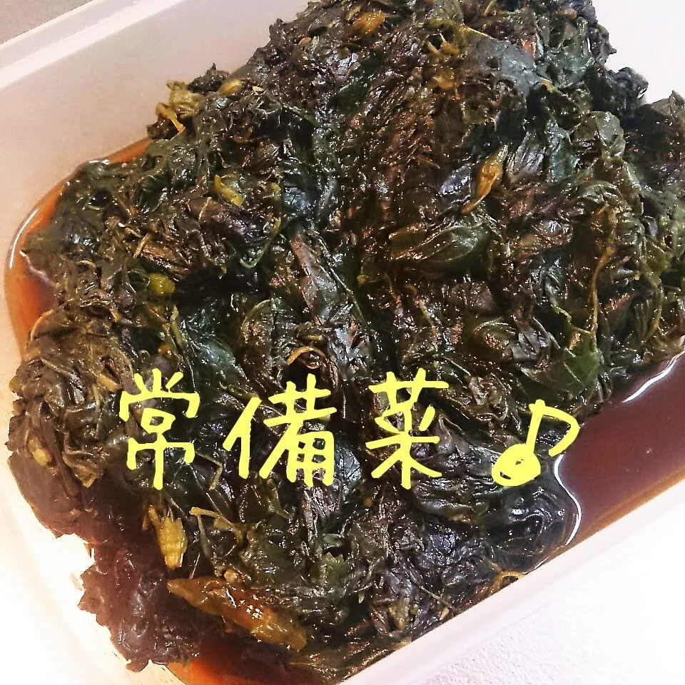 常備菜(葉唐辛子の佃煮)|oomugiさん