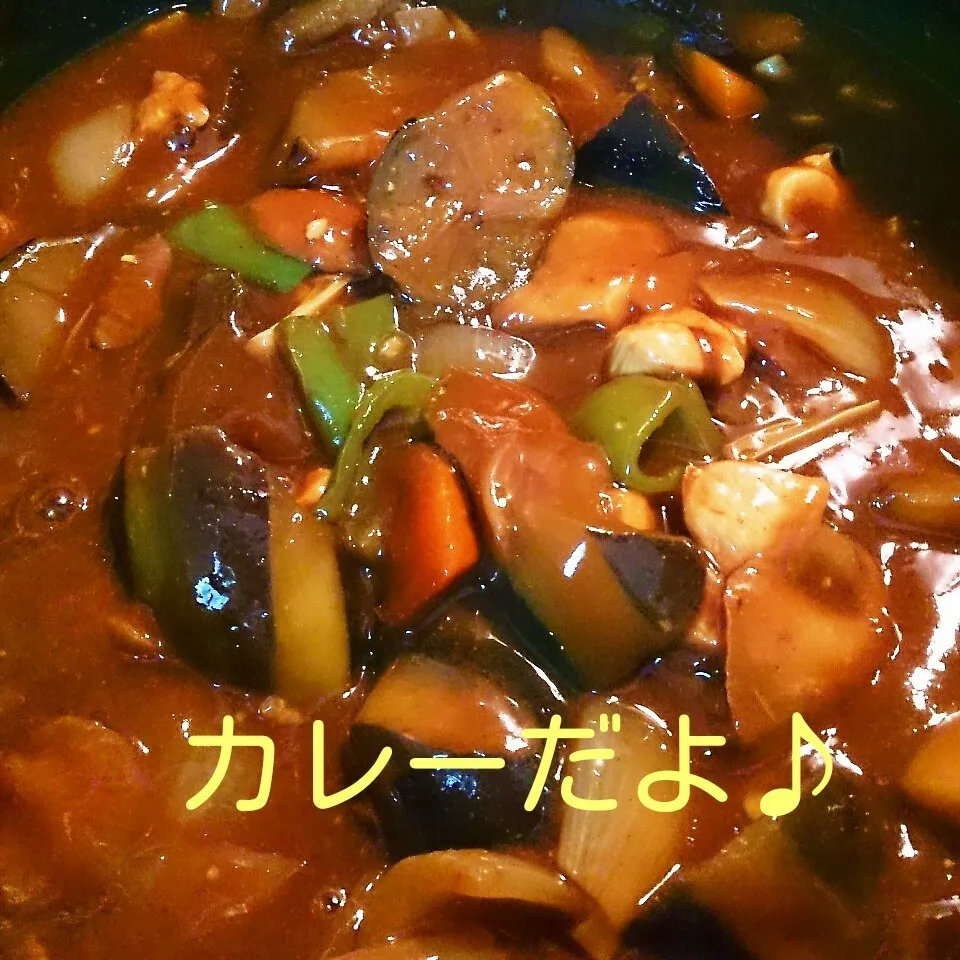 Snapdishの料理写真:夏野菜のチキンカレー|oomugiさん