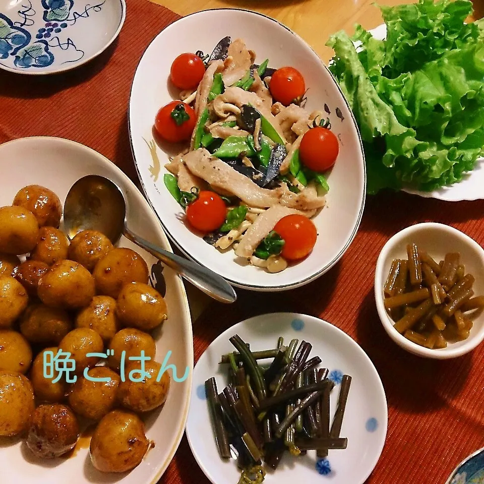 今日の晩ごはん(トントロのネギ塩焼きと…)|oomugiさん