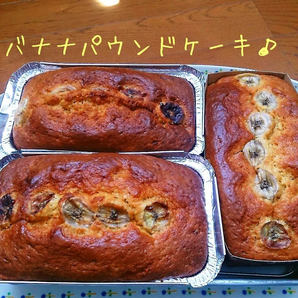 Snapdishの料理写真:バナナパウンドケーキ♪|oomugiさん