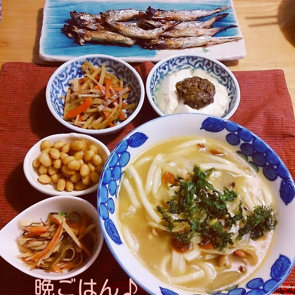 今日の晩ごはん(カレー南蛮うどんと…)|oomugiさん