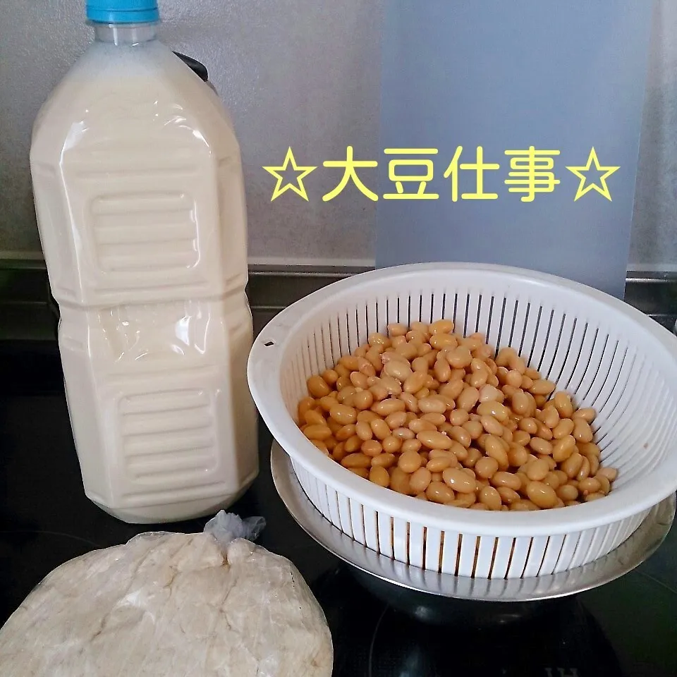 Snapdishの料理写真:大豆仕事|oomugiさん