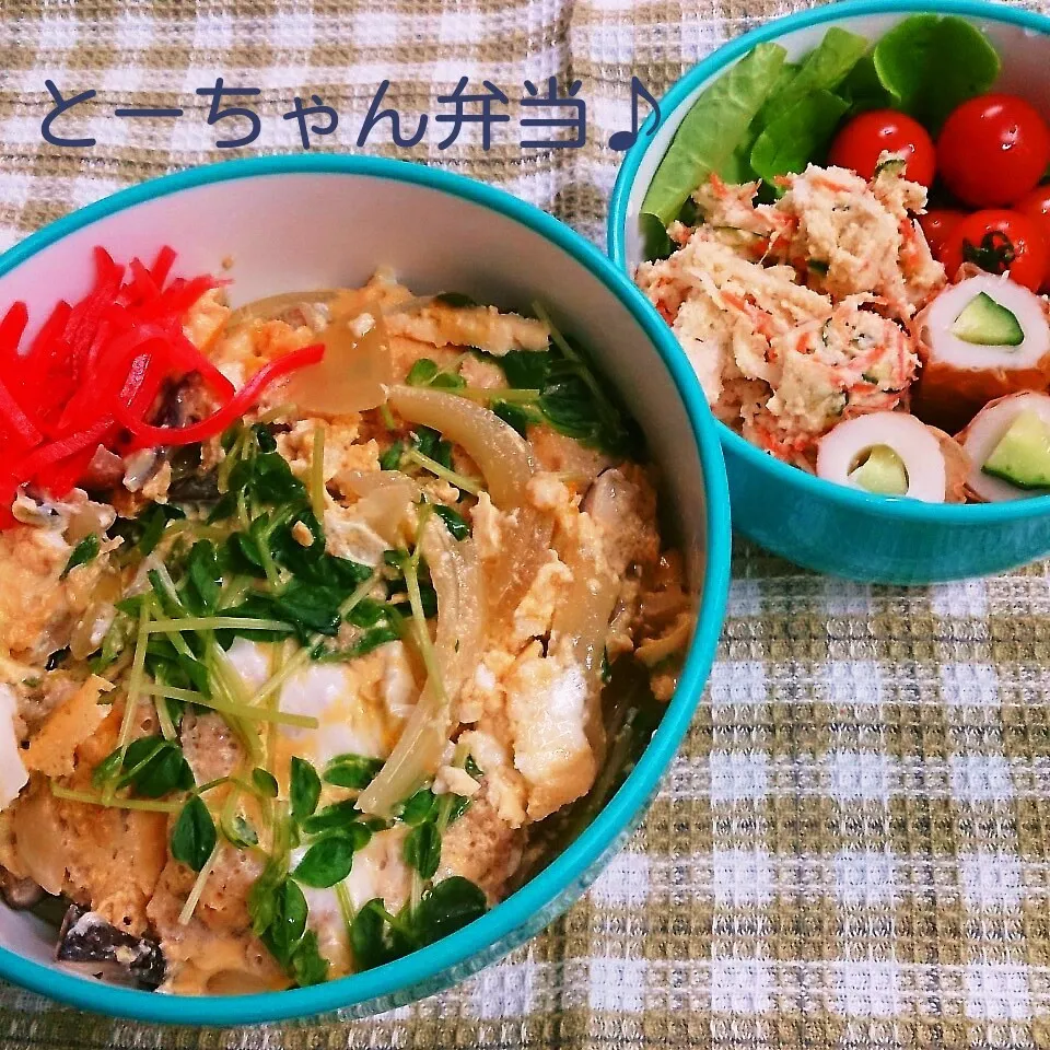 水曜日のとーちゃん弁当|oomugiさん