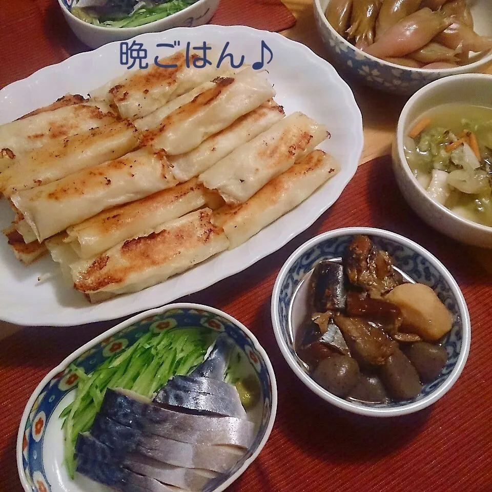 今日の晩ごはん(鶏ともやしの焼き春巻きと…)|oomugiさん