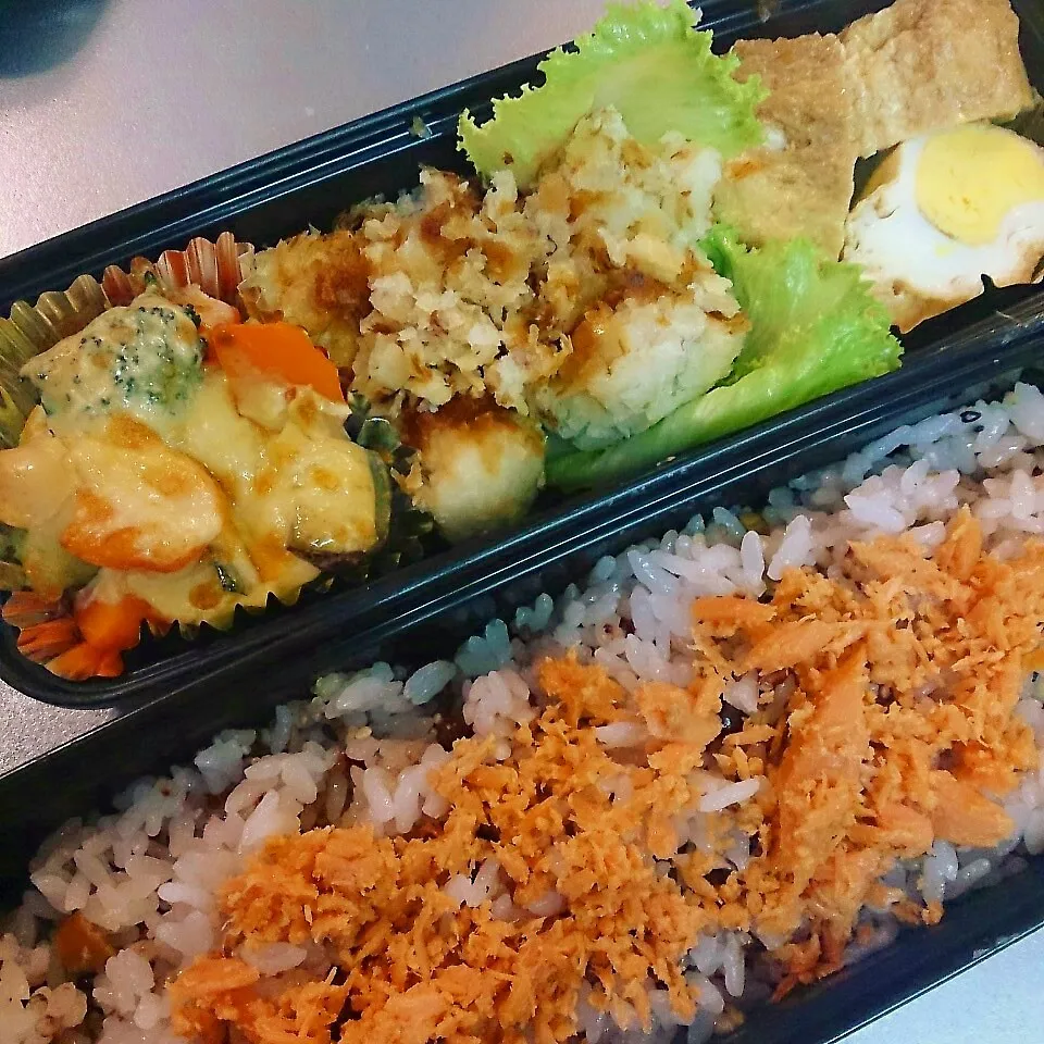 パパさん弁当|oomugiさん