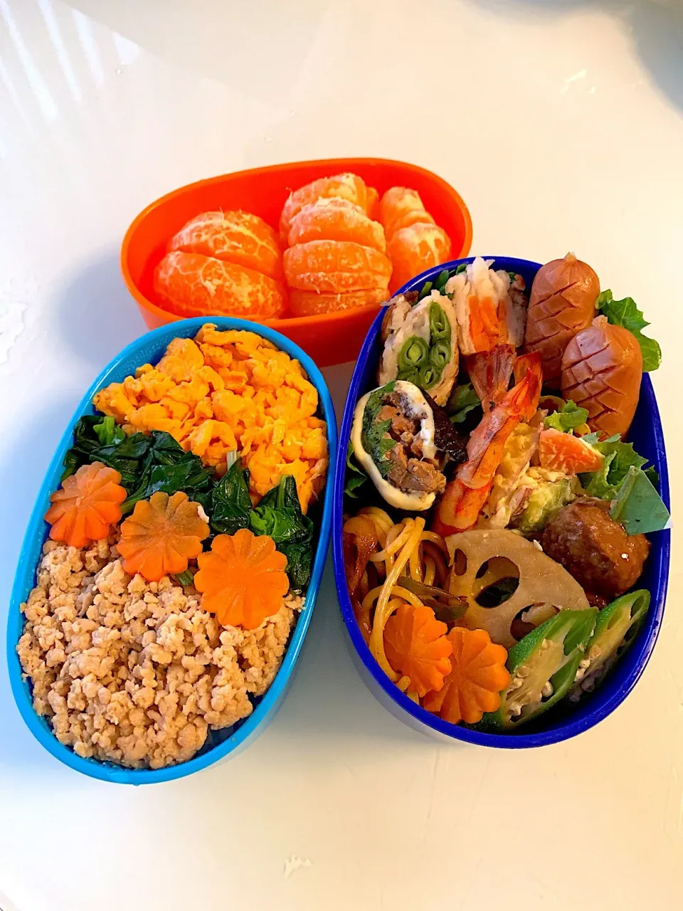 息子弁当〜♬
今日は社会見学！楽しんできてね
 #息子弁当  #弁当  #小学生弁当 #小学生男子弁当  #そぼろ弁当  #四色丼  #三段弁当|Snow10さん