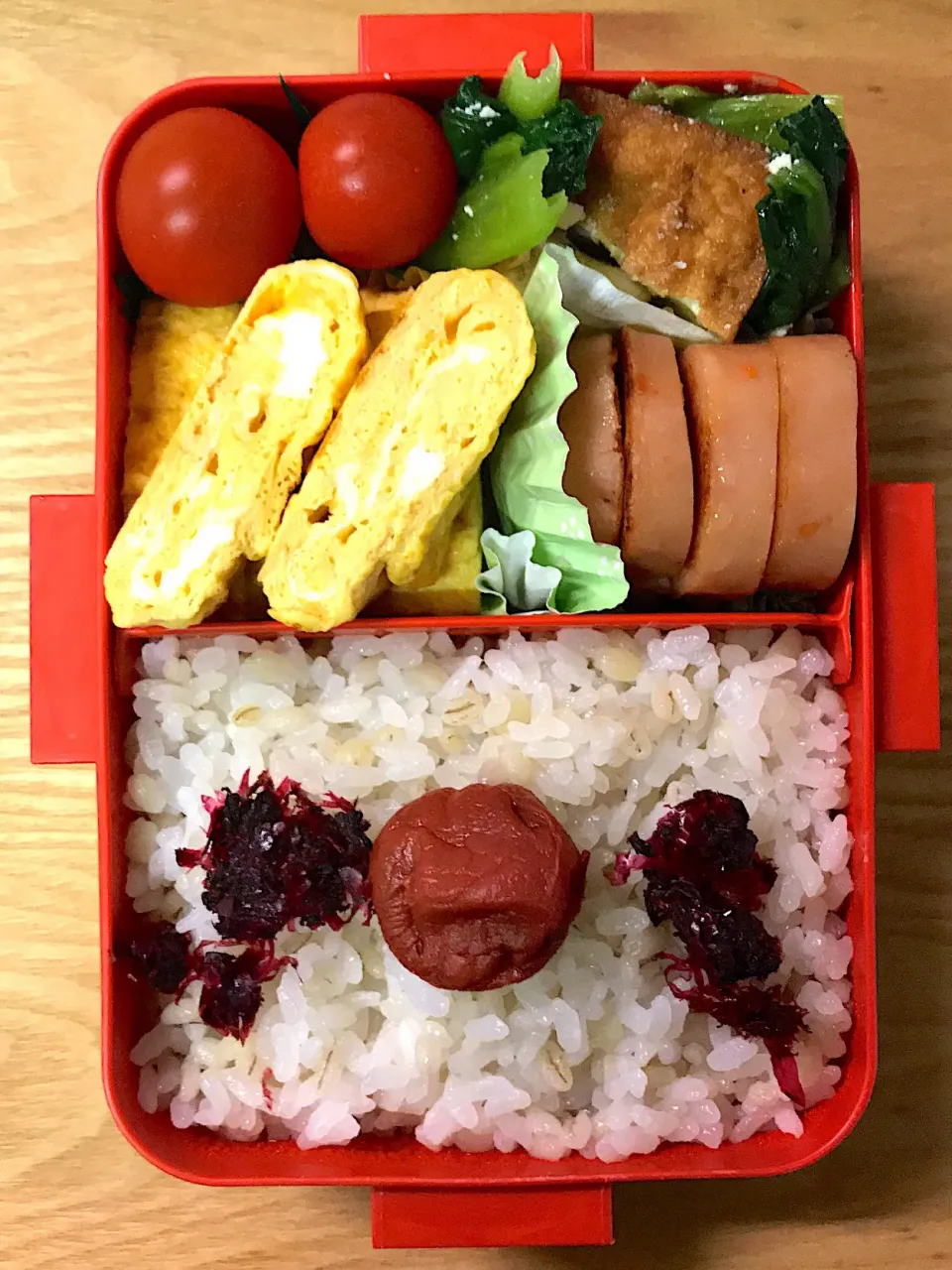 娘用 お弁当(130)|トモさん