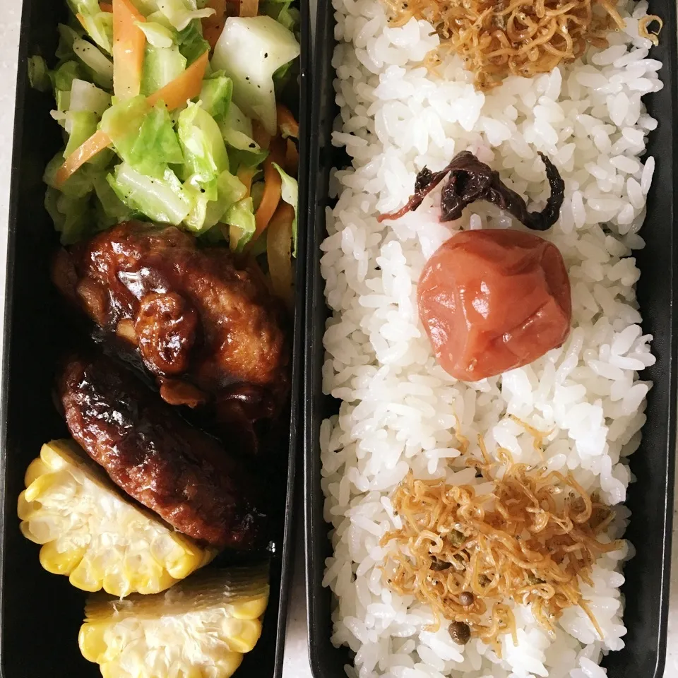 ハンバーグ弁当〜♪|ぴっぴさん