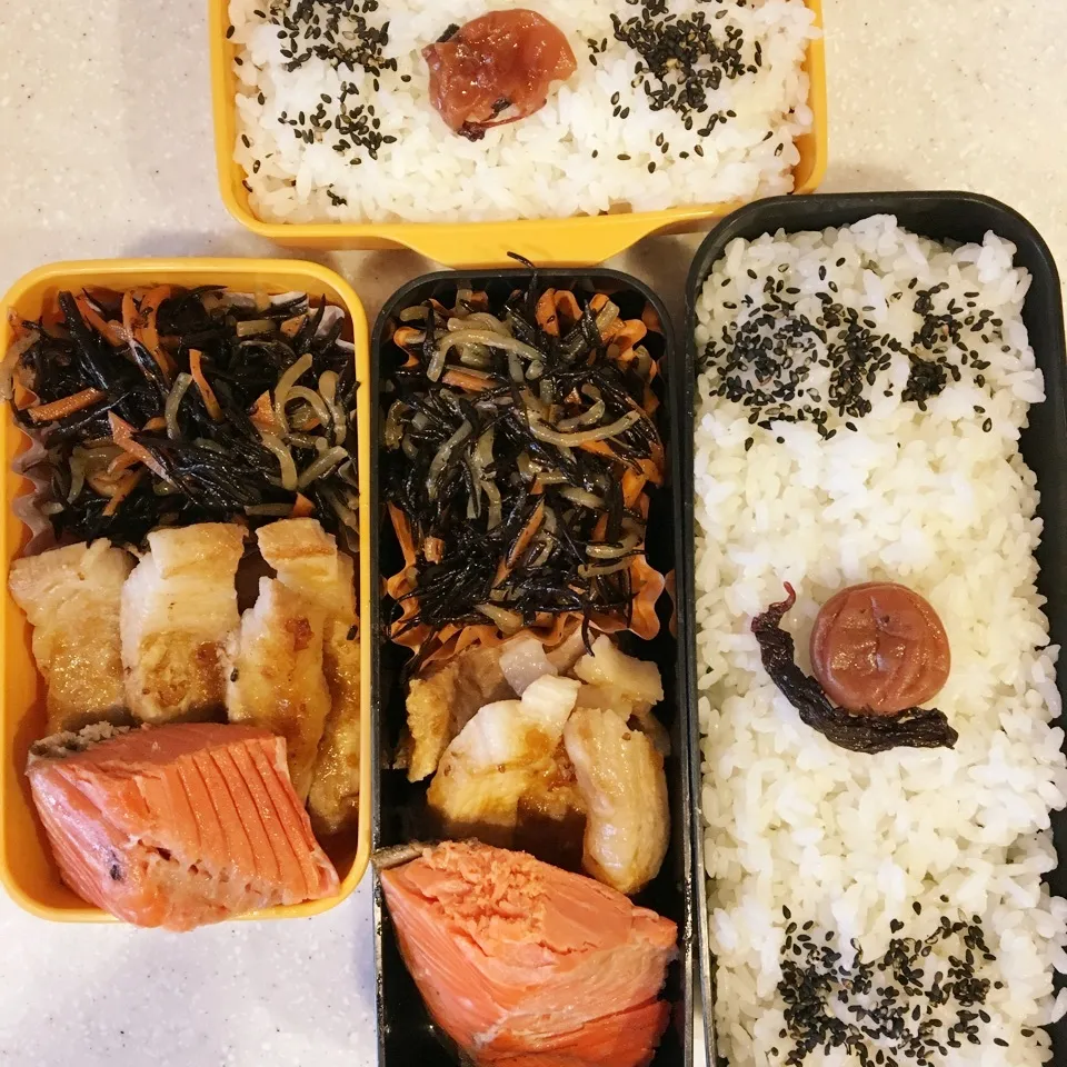 Snapdishの料理写真:本日のお弁当〜♪|ぴっぴさん