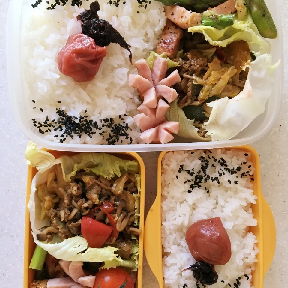 Snapdishの料理写真:ご飯がススムお弁当〜♪|ぴっぴさん