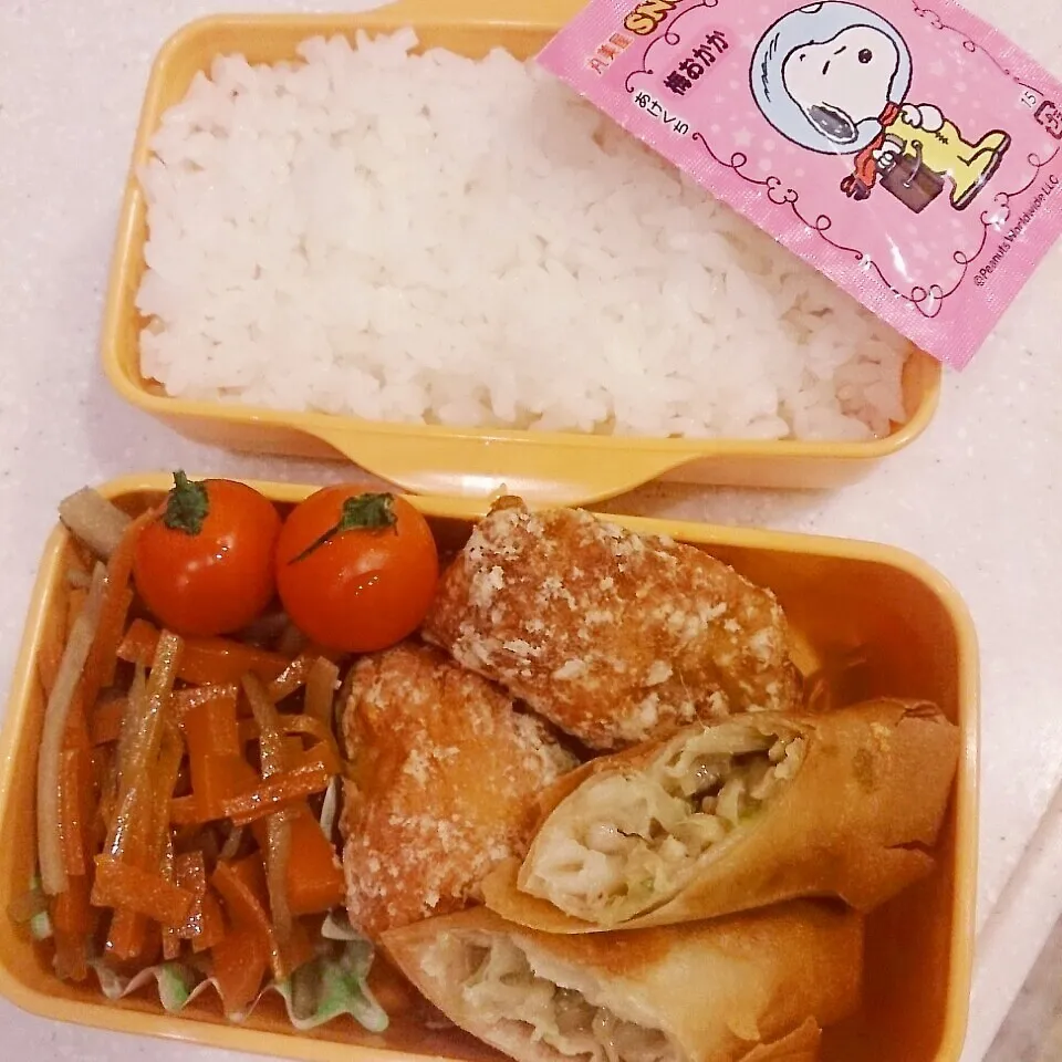 揚げ物のお弁当～♪|ぴっぴさん