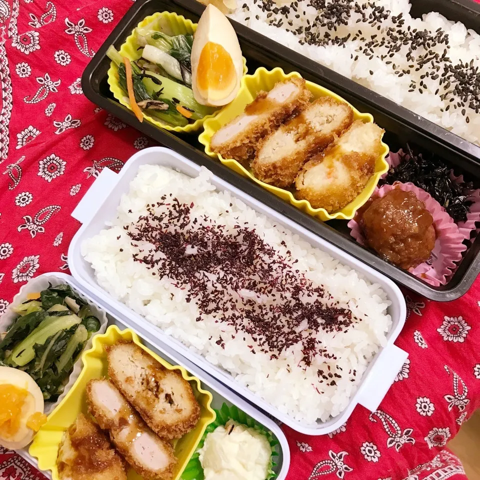 高3.高1今日のお弁当|ユッコさん