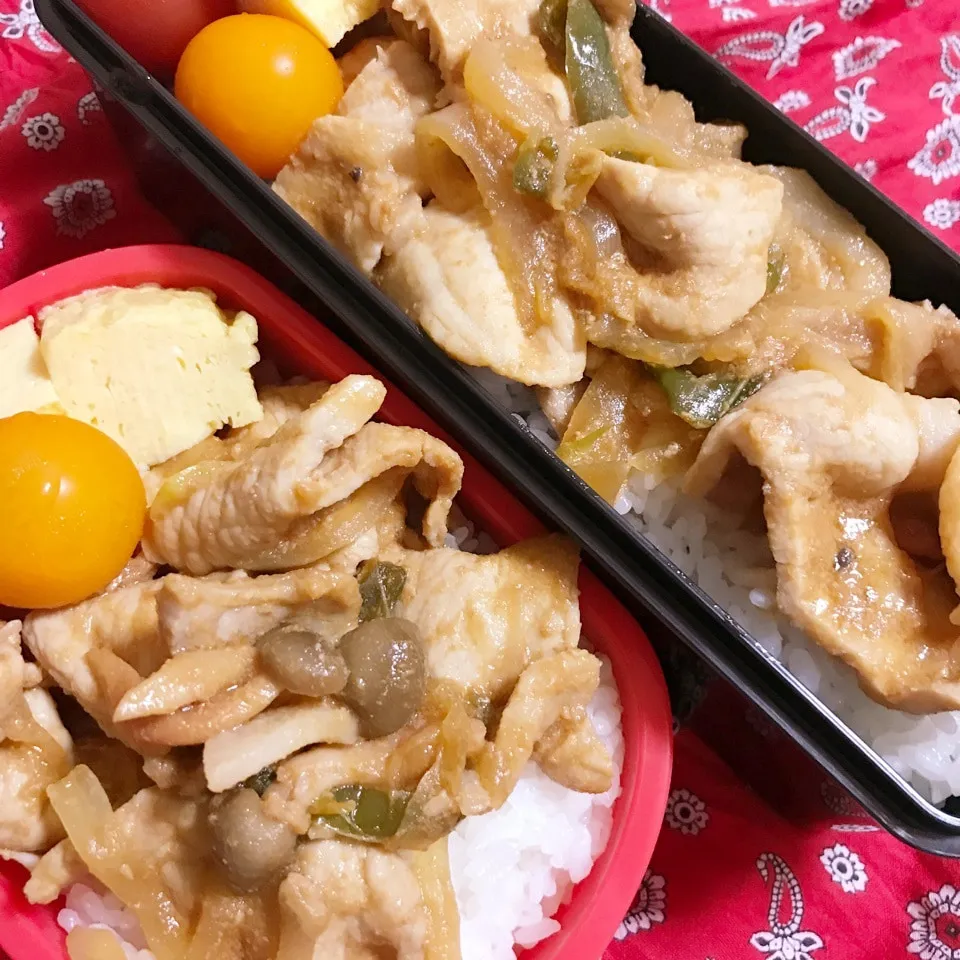 Snapdishの料理写真:高3.高1今日のお弁当|ユッコさん