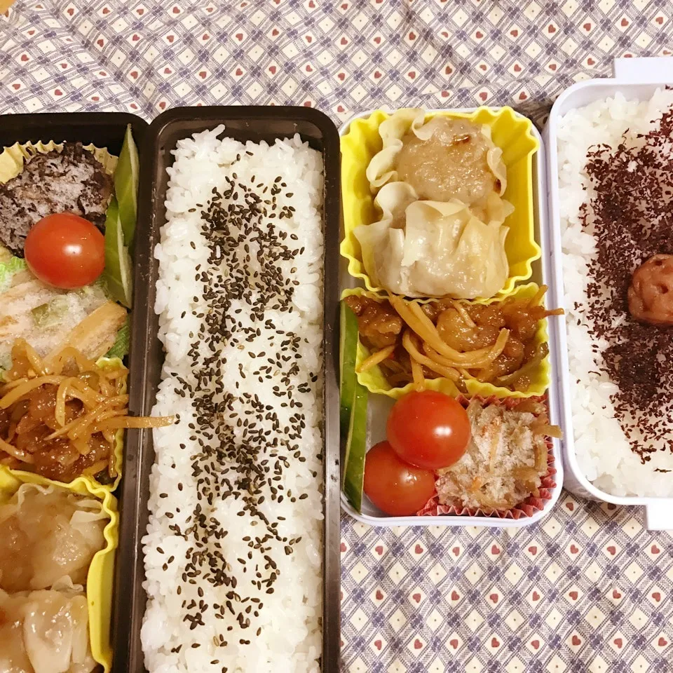 高2.中3今日のお弁当|ユッコさん