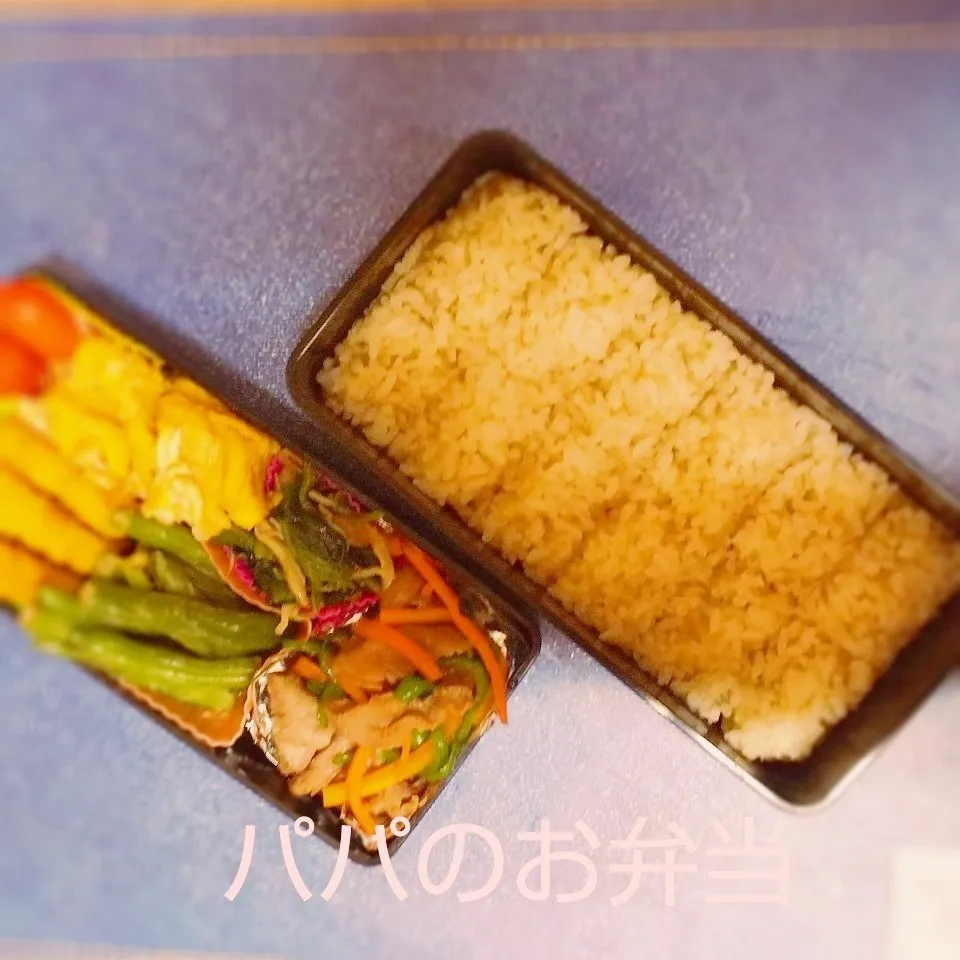 Snapdishの料理写真:パパのお弁当【日替わりスタミナ弁当】|I am hungry familyさん