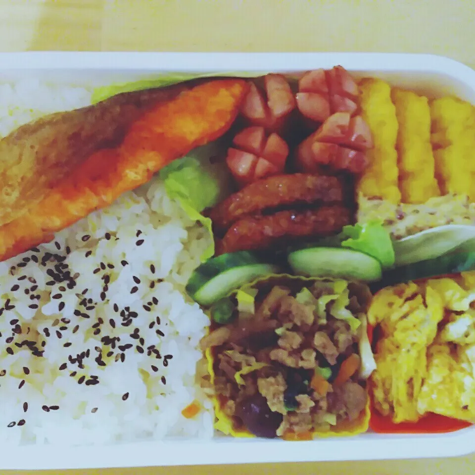 Snapdishの料理写真:パパのお弁当【サケ弁当】|I am hungry familyさん