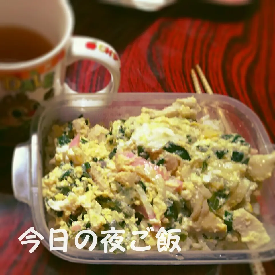 Snapdishの料理写真:今日の夜ご飯【親子丼】弁当👀‼？|I am hungry familyさん