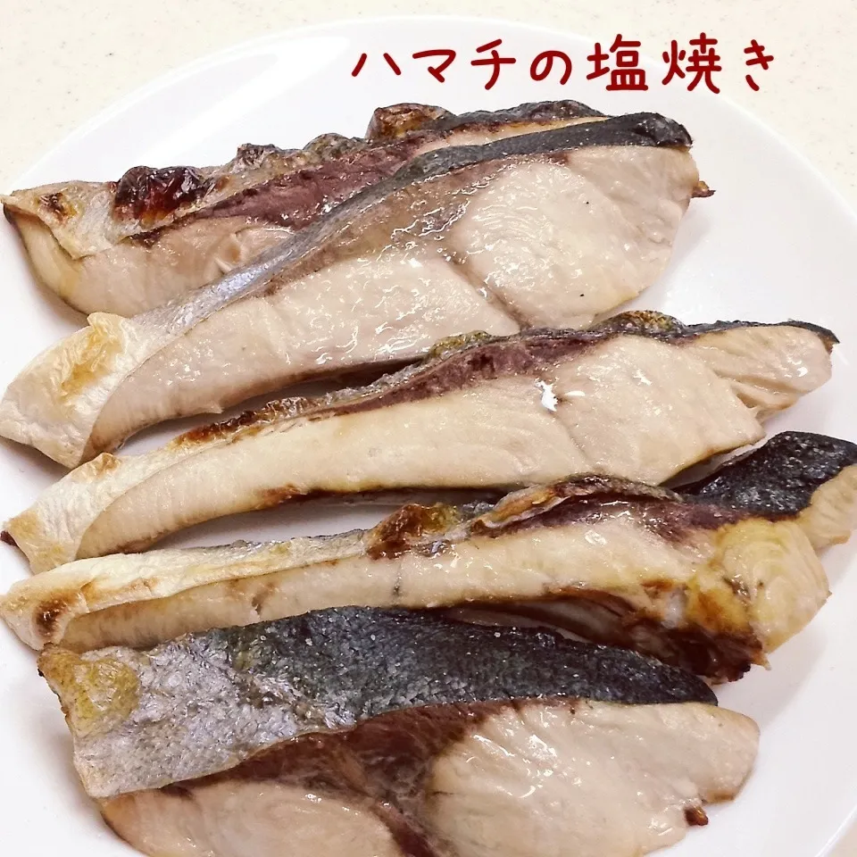 天然ハマチの塩焼き|く〜ちさん