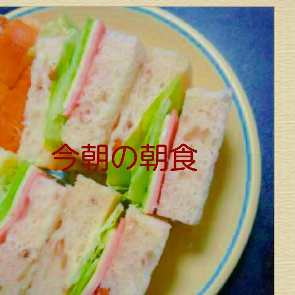 Snapdishの料理写真:HamuLettuce・Sand|I am hungry familyさん